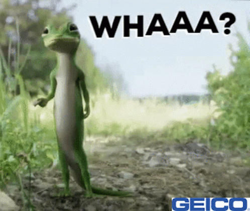 A Geico Ad With A Lizard And The Word Whaaa GIF
