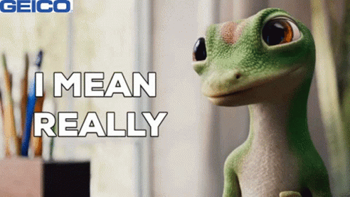 A Geico Ad With A Lizard And The Words I Mean Really GIF
