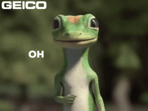 A Geico Ad With A Lizard That Says Oh On It GIF