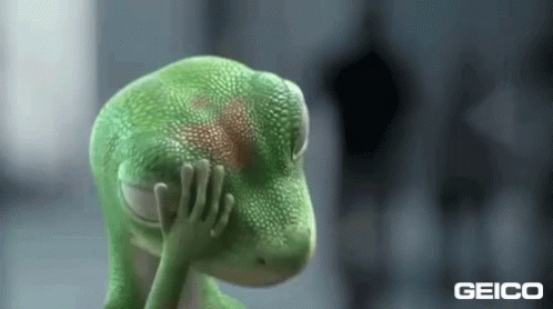 A Geico Lizard Is Covering Its Face With Its Hand . GIF
