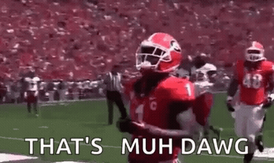 A Georgia Bulldogs Mascot Is Wearing A Helmet And Dancing On A Football Field . GIF
