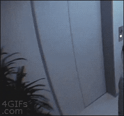 A Gif From 4Gifs.com Shows An Elevator Going Up GIF