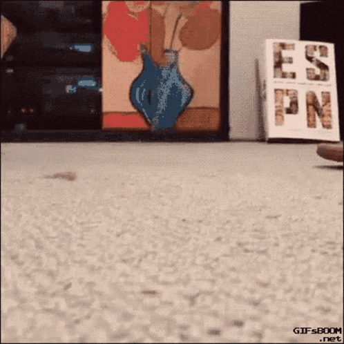 A Gif From Gifsboom.net Shows A Person Walking On A Carpet GIF