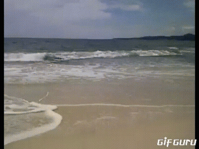A Gif Of A Beach That Says Gif Guru GIF