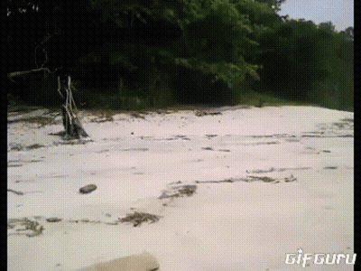 A Gif Of A Beach With The Words Gif Guru On The Bottom Right GIF