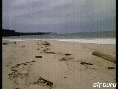 A Gif Of A Beach With The Words Gif Guru On The Bottom Right GIF
