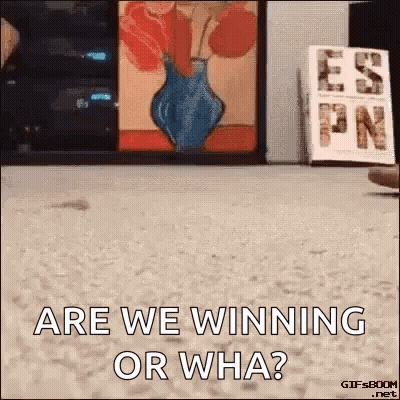 A Gif Of A Cat Asking Are We Winning Or Wha ? GIF