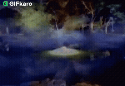 A Gif Of A Lake With Trees In The Background GIF
