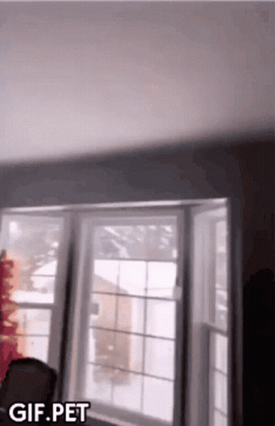 A Gif Of A Person Standing In Front Of A Window With The Words Gif Pet Below It GIF