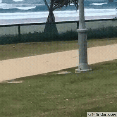 A Gif Of A Person Walking On A Sidewalk With A Beach In The Background GIF