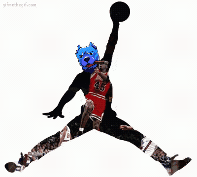 A Gif Of Michael Jordan Playing Basketball With A Blue Dog On His Head GIF