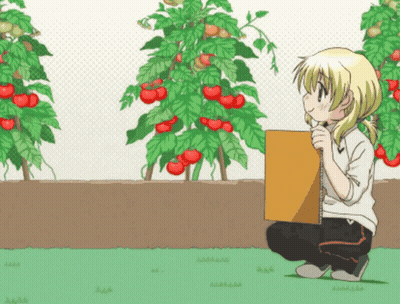 A Girl Is Kneeling In Front Of A Tomato Plant Holding A Cardboard Box GIF