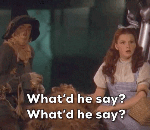 A Girl Sitting Next To A Scarecrow With The Words What 'D He Say What 'D He Say GIF