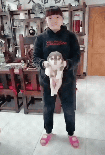 A Girl Wearing A Black Hoodie That Says Gasoline Holds A Small Dog GIF