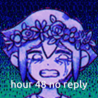 A Girl With A Flower Crown On Her Head Is Crying And Has The Words `` Hour 48 No Reply '' Written On It . GIF