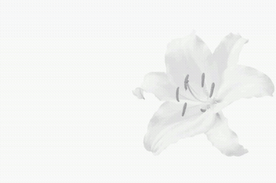 A Girl With Long Black Hair Is Holding A Bouquet Of Flowers Next To A Letter S GIF