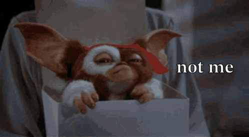A Gizmo From The Movie Gremlins Is Laying In A Box And Says Not Me GIF