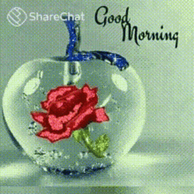 A Glass Apple With A Red Rose In It And The Words `` Good Morning '' Written On It . GIF