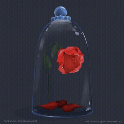 A Glass Dome With A Red Rose Inside And The Words Dinarynadee On The Bottom GIF