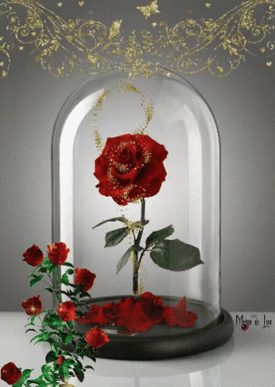 A Glass Dome With A Red Rose Inside Of It And The Words Magie De Luxe Below It GIF
