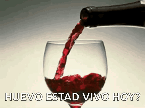 A Glass Of Red Wine Is Being Poured From A Bottle With The Words Huevo Estad Vivo Hoy Written Below It GIF
