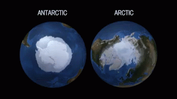 A Globe Showing Antarctica And The Arctic On It GIF