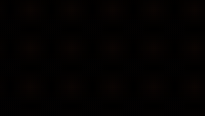 A Glowing Logo For The Sunrisers Shows A Skull And Wings GIF