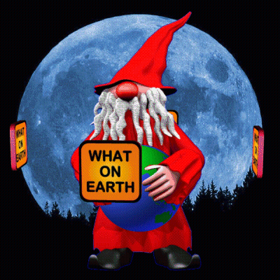 A Gnome Holding A Globe And A Sign That Says What On Earth GIF