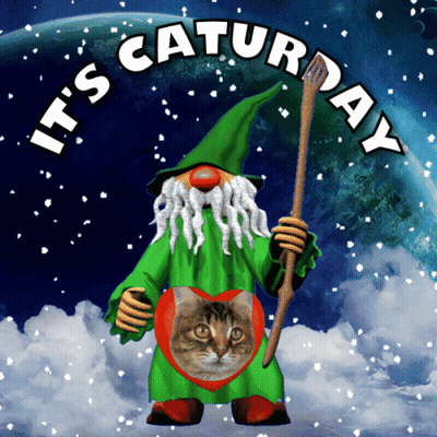 A Gnome With A Cat On His Chest And The Words It 'S Saturday Above Him GIF
