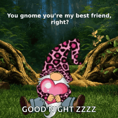 A Gnome With A Pink Leopard Print Hat Is Holding A Heart And Says " You Gnome You 'Re My Best Friend " GIF