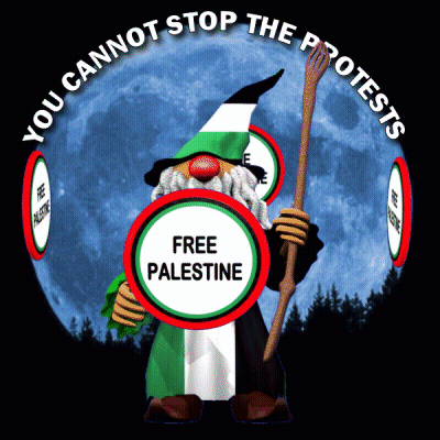 A Gnome With A Shield That Says Free Palestine GIF