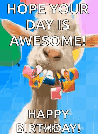 A Goat Is Holding Balloons In Its Mouth And Says Hope Your Day Is Awesome Happy Birthday . GIF