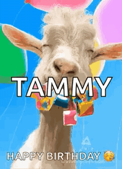 A Goat Is Wearing A Bow Tie And Balloons In Its Mouth . GIF
