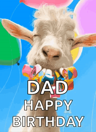 A Goat Is Wearing Balloons And A Party Horn In Its Mouth . GIF