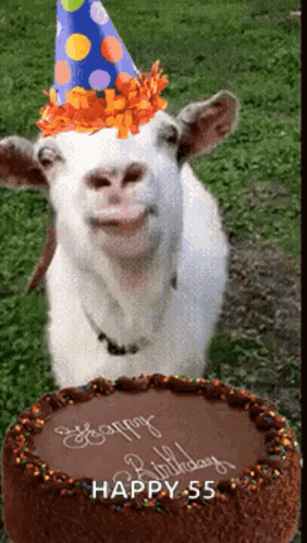 A Goat Wearing A Party Hat Looks At A Birthday Cake GIF