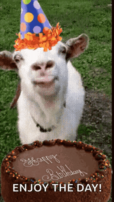 A Goat Wearing A Party Hat Standing Next To A Birthday Cake GIF
