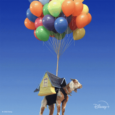 A Goat With A House On Its Back Is Flying Through The Air With Balloons GIF