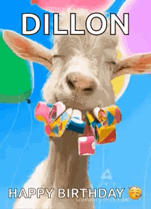 A Goat With Balloons In Its Mouth And The Words `` Dillon Happy Birthday '' . GIF