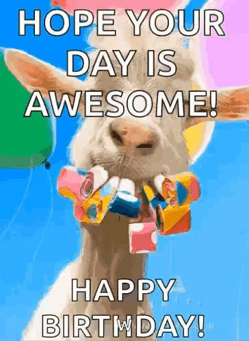 A Goat With Balloons In Its Mouth And The Words `` Hope Your Day Is Awesome ! '' GIF