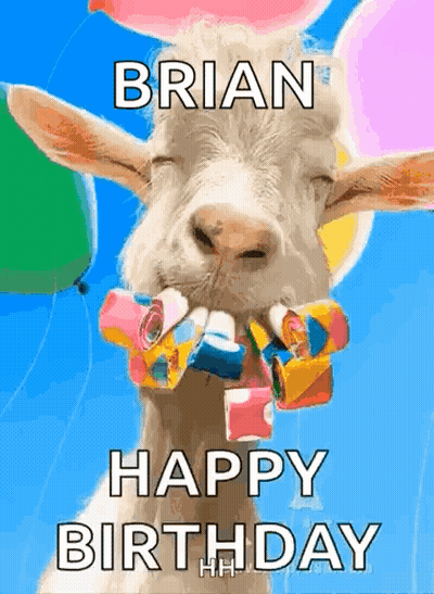 A Goat With Balloons In Its Mouth Says Happy Birthday GIF