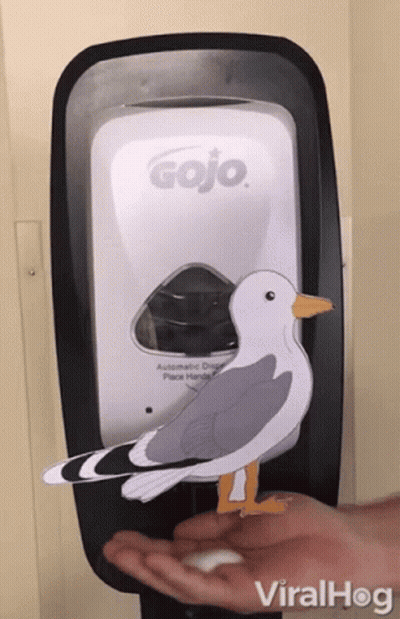 A Gojo Hand Sanitizer Dispenser With A Seagull Standing On It GIF