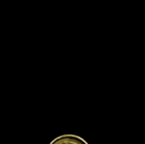 A Gold Coin With A Face On It GIF