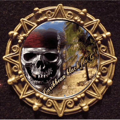 A Gold Coin With A Skull And The Words Caribbean Black Flag On It GIF
