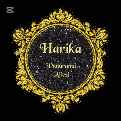 A Gold Frame With The Name Harika Panorama Ailesi GIF
