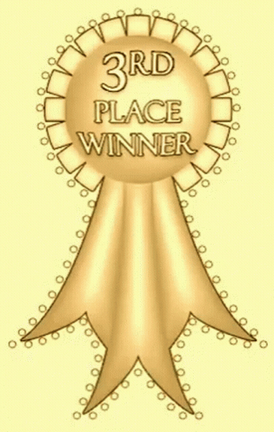 A Gold Ribbon With The Words 3Rd Place Winner Written On It GIF