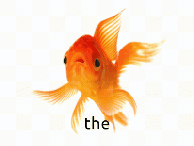 A Goldfish With The Word The On The Bottom Right GIF