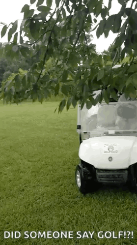 A Golf Cart Is Parked In A Grassy Field With The Words Did Someone Say Golf Written Below It GIF