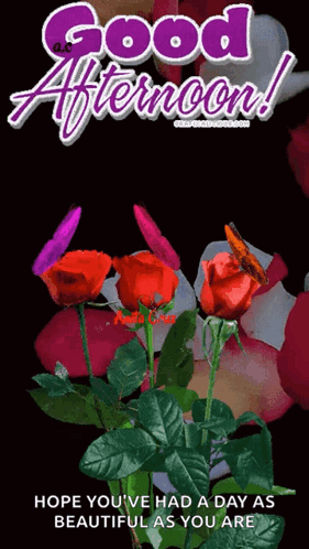 A Good Afternoon Card With Roses And A Butterfly GIF