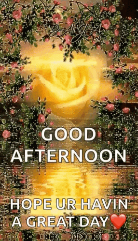 A Good Afternoon Greeting Card With A Yellow Rose And Flowers In The Water . GIF