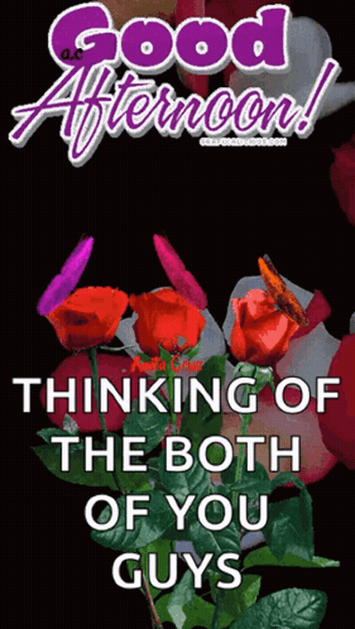 A Good Afternoon Greeting Card With Roses And Butterflies GIF